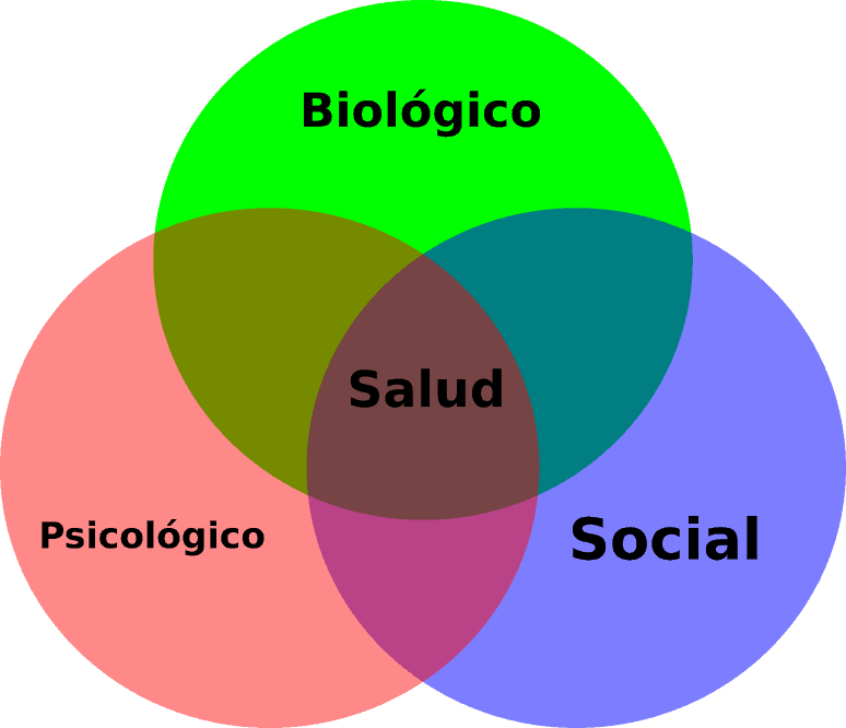 Que Es Biopsicosocial En Salud